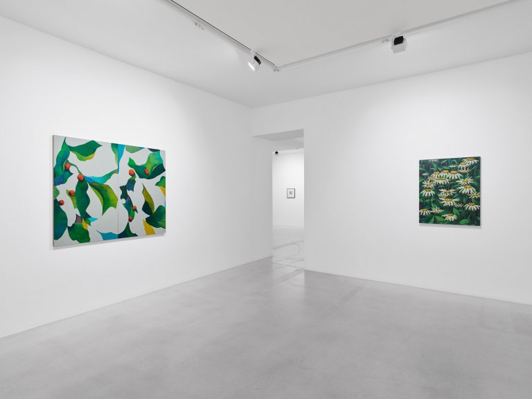 Exhibition view featuring artworks by Ryan Mrozowski. The image showcases a series of paintings with vibrant, repeated patterns and botanical motifs, arranged in a carefully curated space.